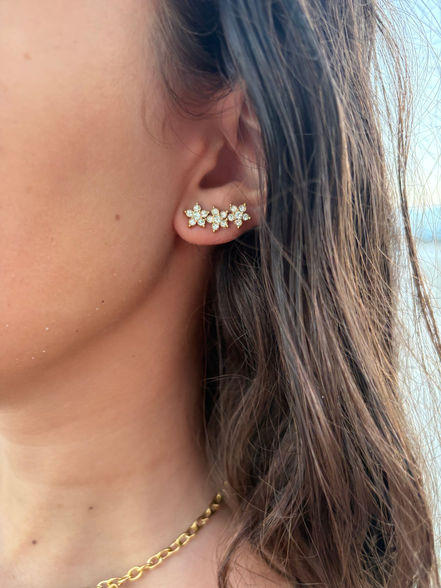 Boucles d’oreilles en acier inoxydable | Ornella