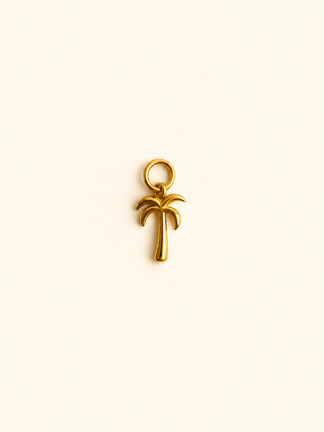 Charm pour personnalisation