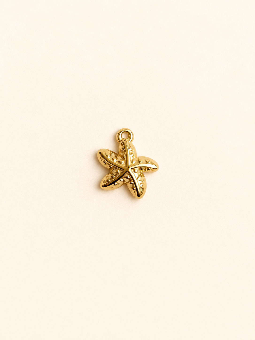 Charm pour personnalisation