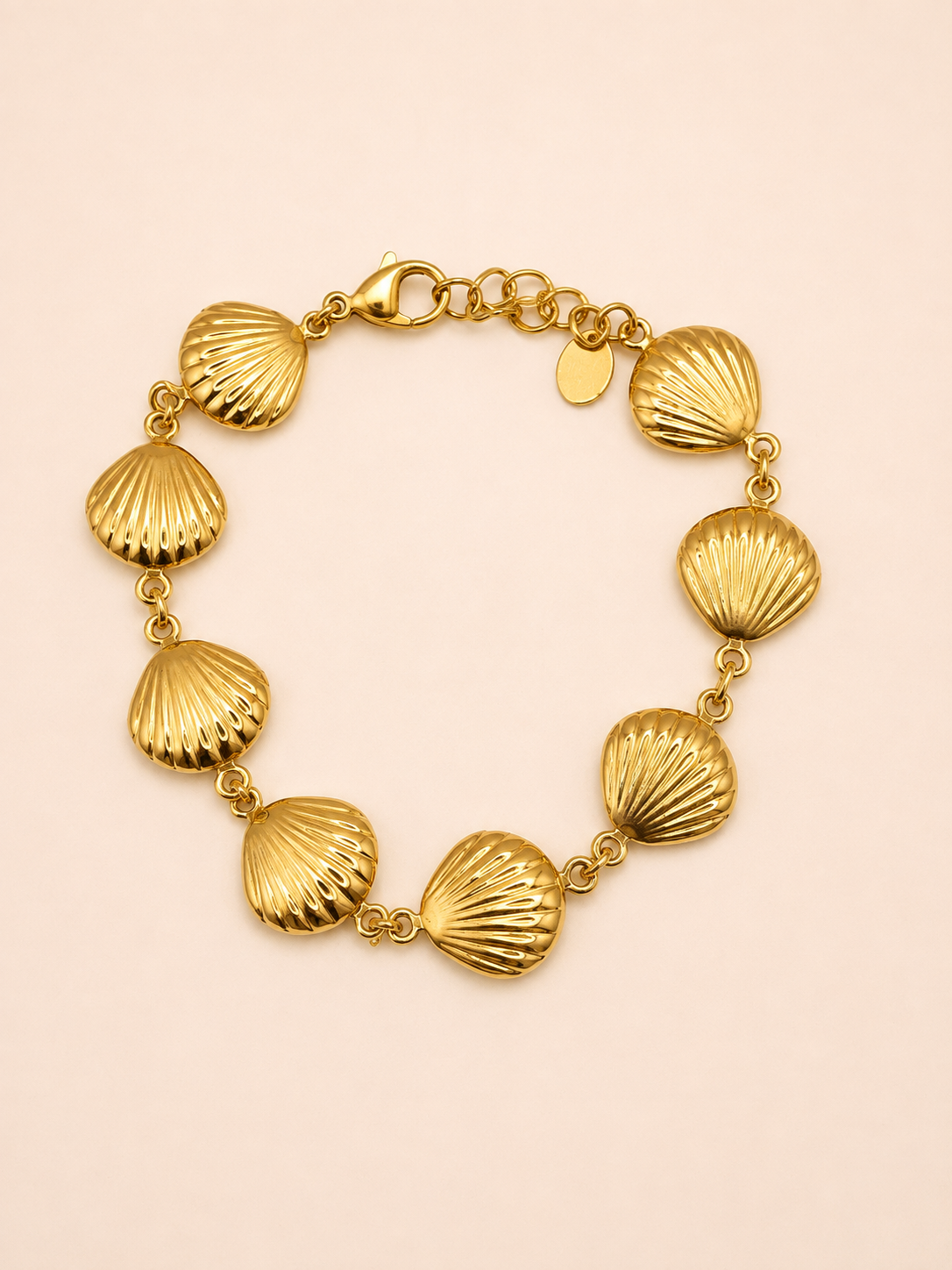 Bracelet en acier inoxydable | Léo