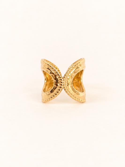Bague en acier inoxydable | Paloma