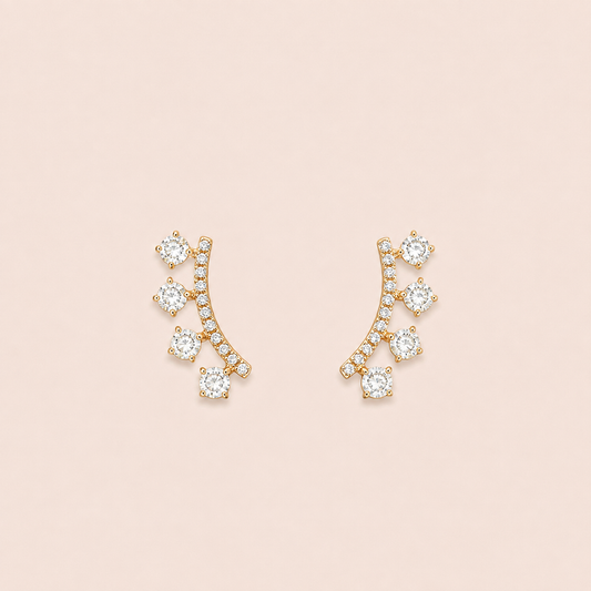Boucles d’oreilles en acier inoxydable |Vannina