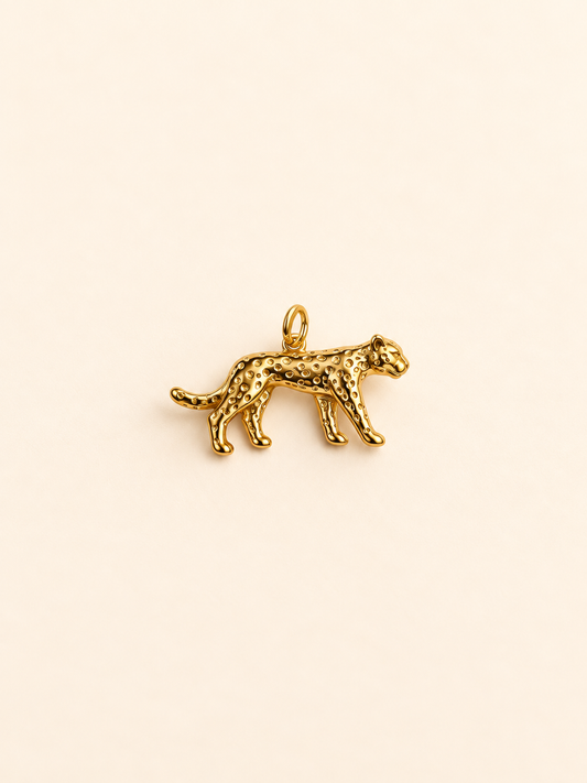 Charm pour personnalisation