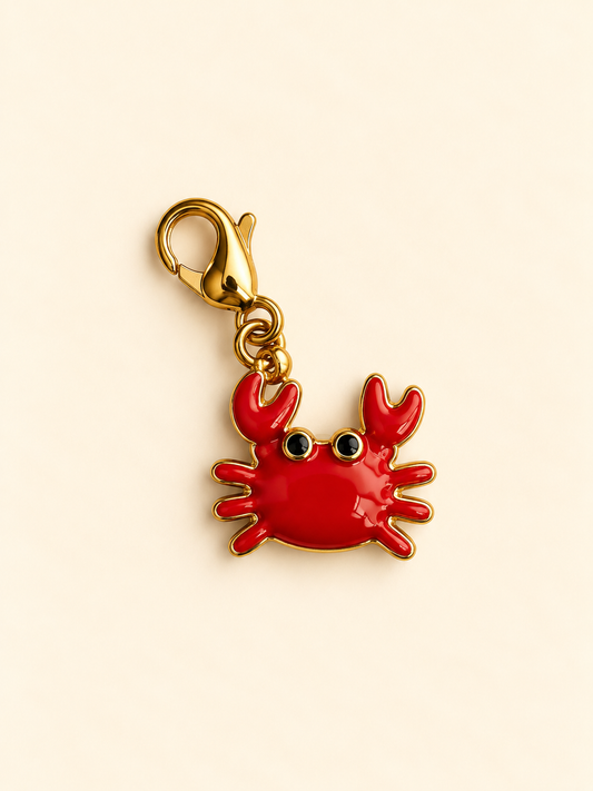 Charm pour personnalisation