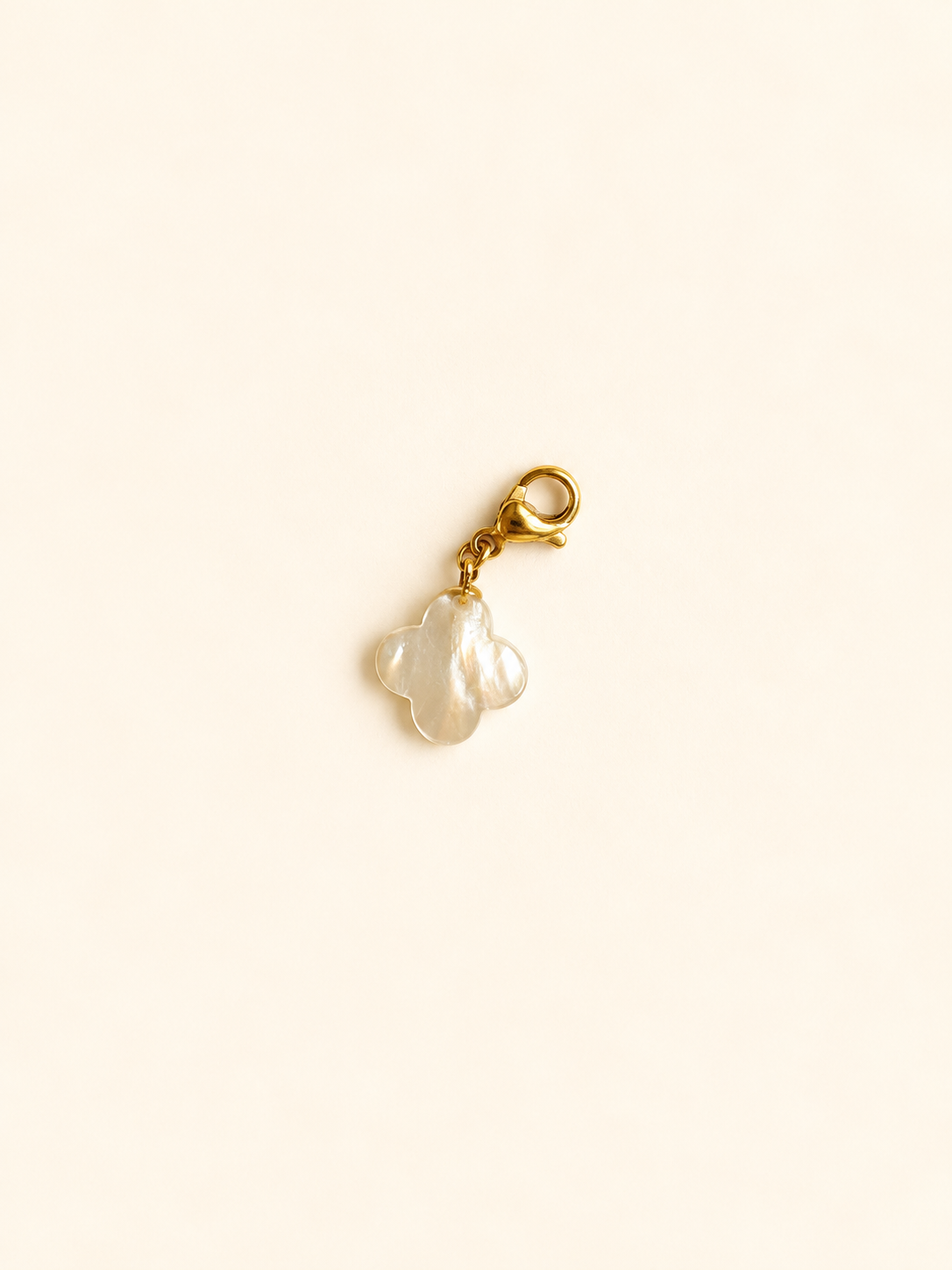Charm pour personnalisation
