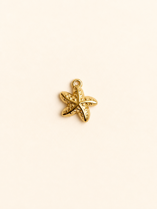 Charm pour personnalisation