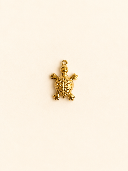 Charm pour personnalisation