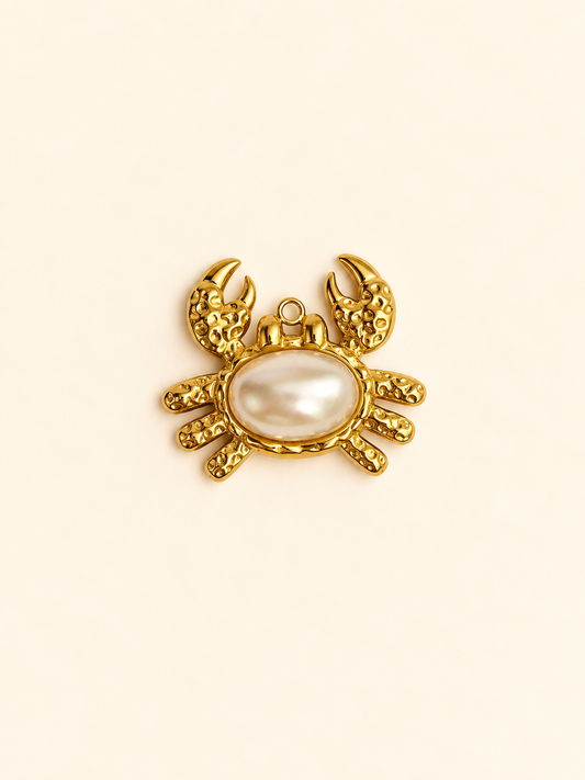 Charm pour personnalisation